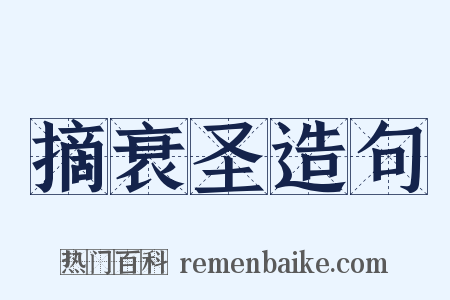 摘衰圣造句是什么意思的图片